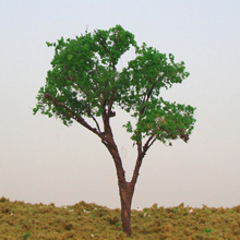 model trees